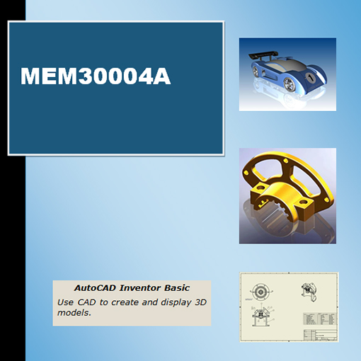 MEM30004A-Basic